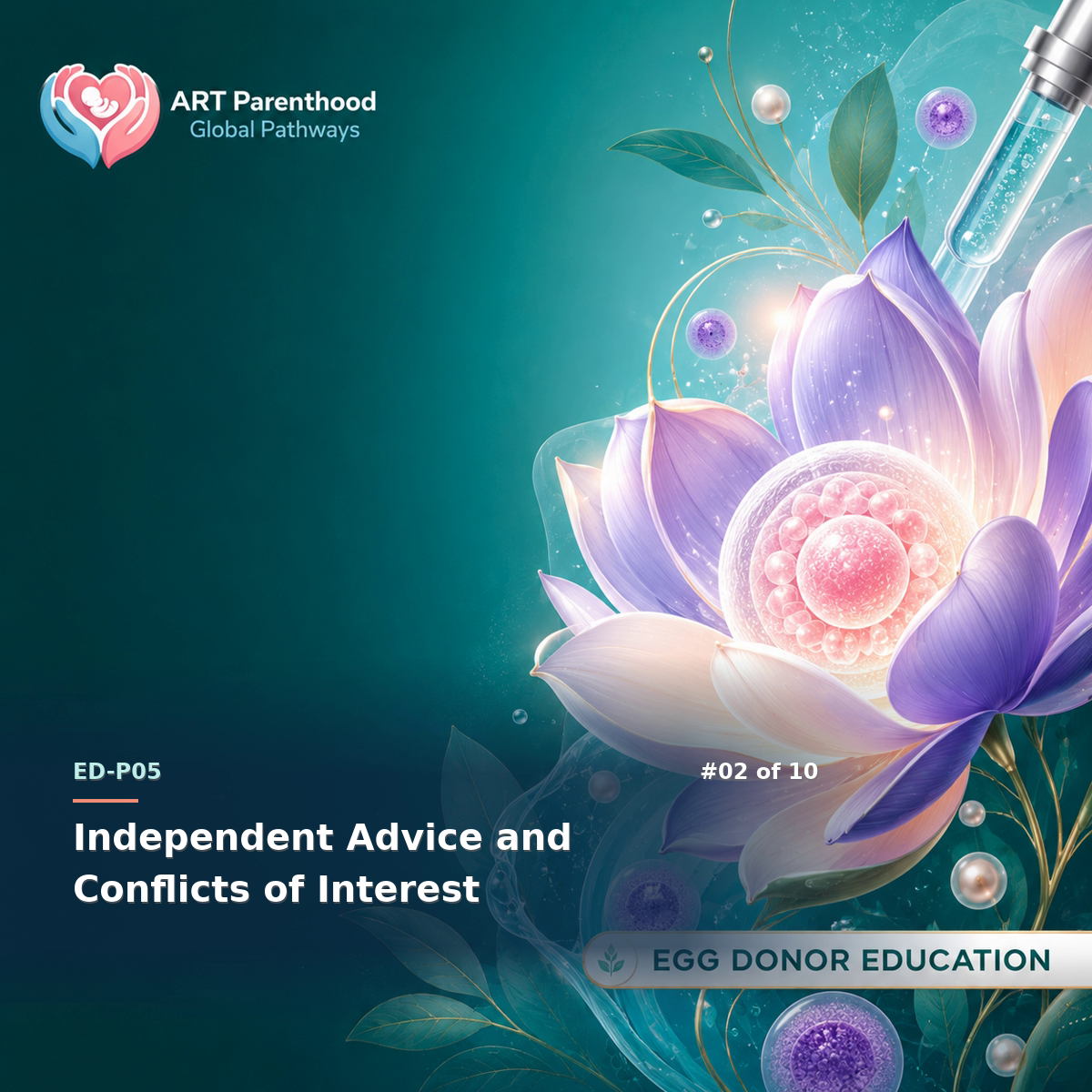 Egg Donors education card for ED-LP05-02: Independent Advice and Conflicts of Interest.