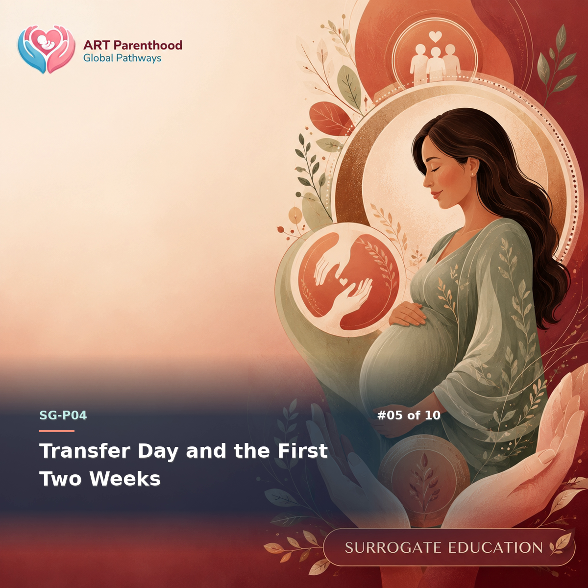 Surrogates education card for SG-LP04-05: Transfer Day and the First Two Weeks.
