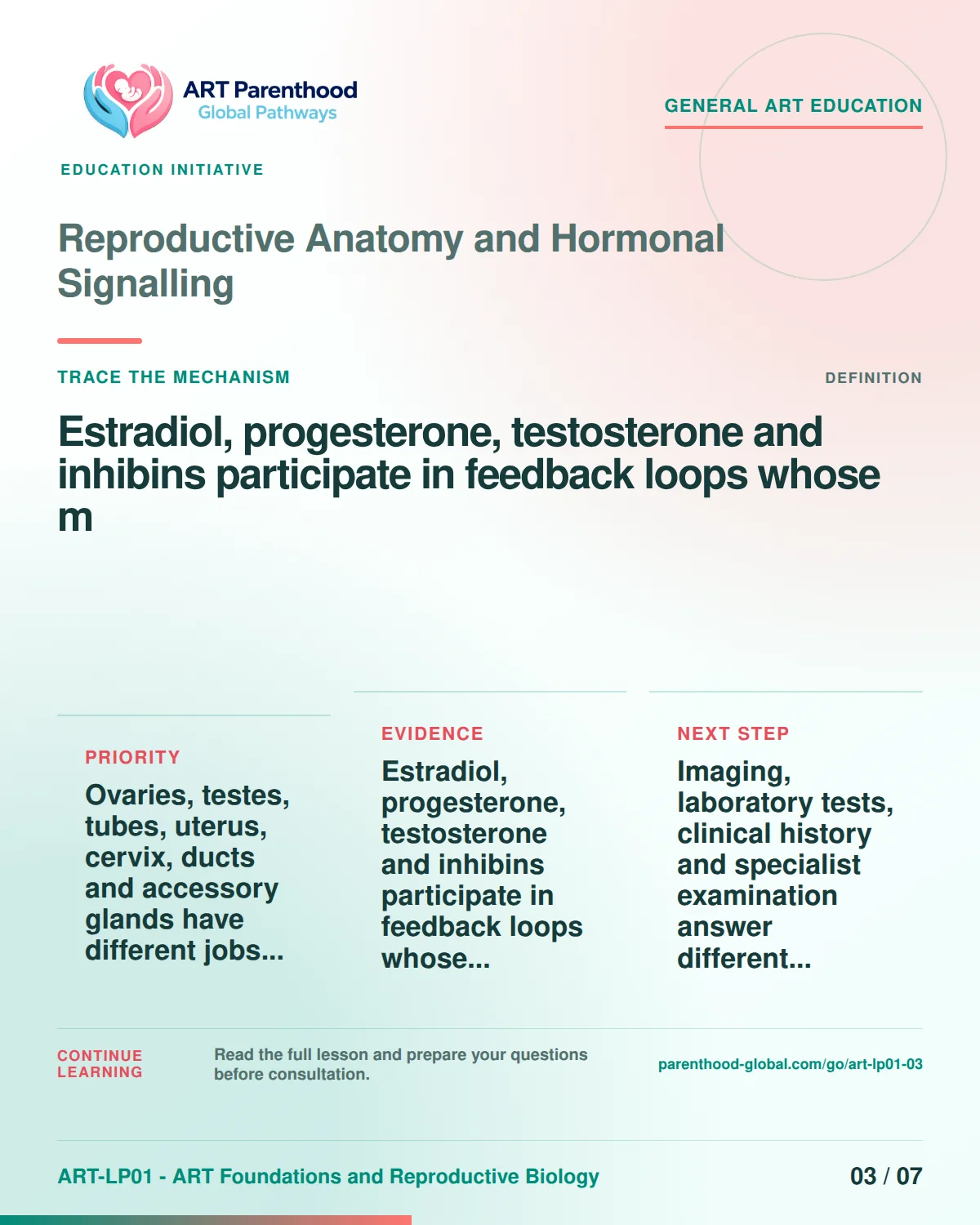 Slide 3 of ART-LP01-03 uses an accessible scientific illustration to explain anatomy and hormonal signalling without implying a personal diagnosis.