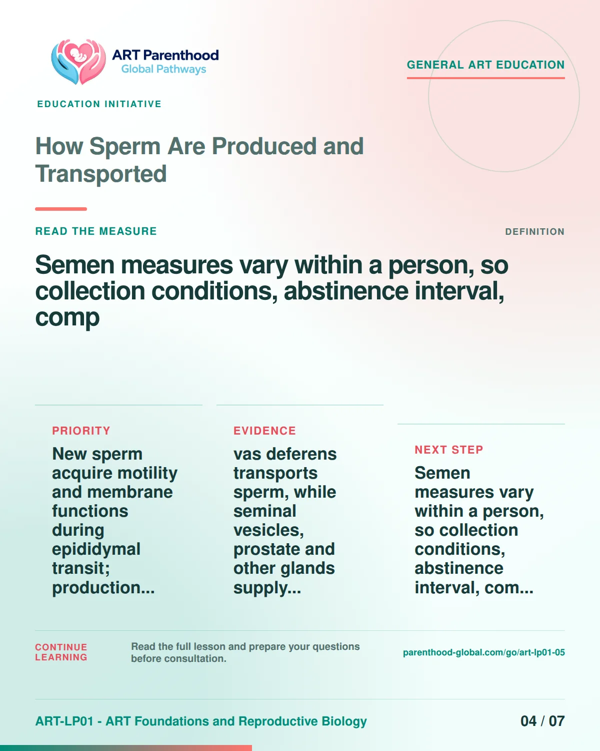 Slide 4 of ART-LP01-05 uses an accessible scientific illustration to explain how sperm are produced and transported without implying a personal diagnosis.