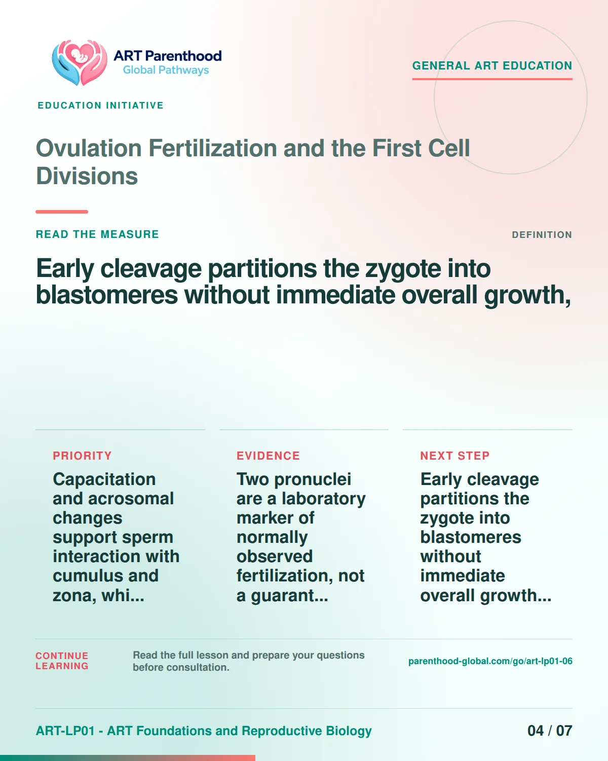 Slide 4 of ART-LP01-06 uses an accessible scientific illustration to explain ovulation, fertilization and first cell divisions without implying a personal diagnosis.