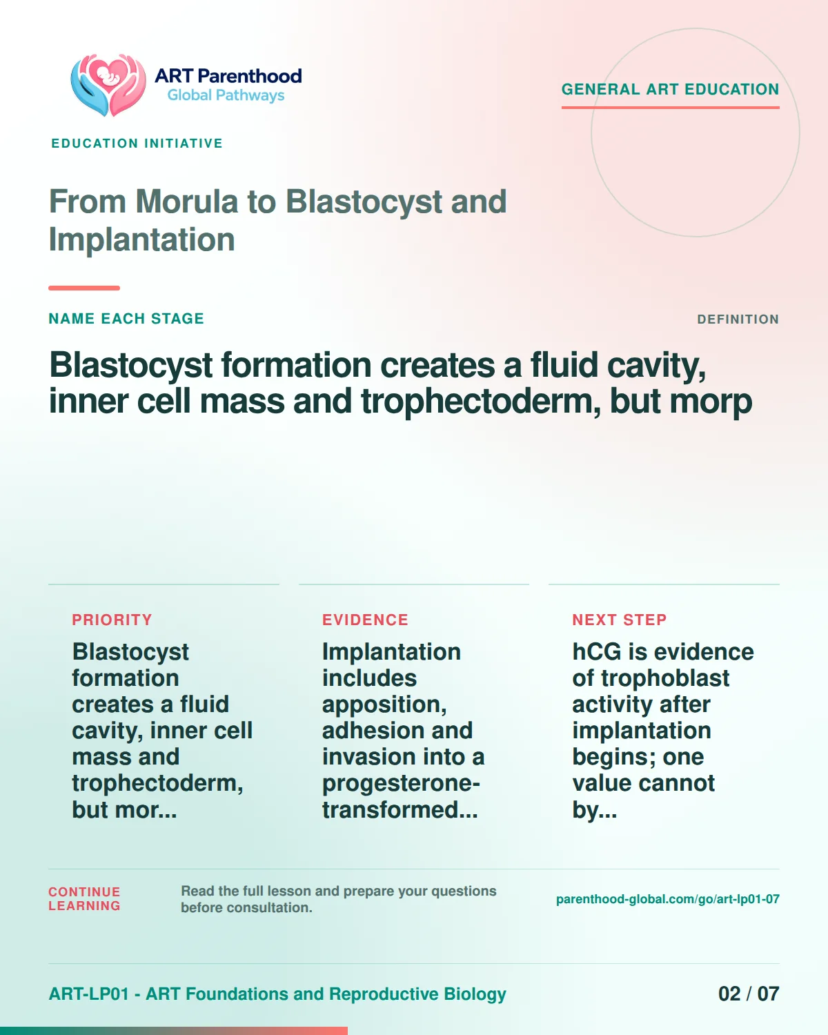 Slide 2 of ART-LP01-07 uses an accessible scientific illustration to explain from morula to blastocyst and implantation without implying a personal diagnosis.