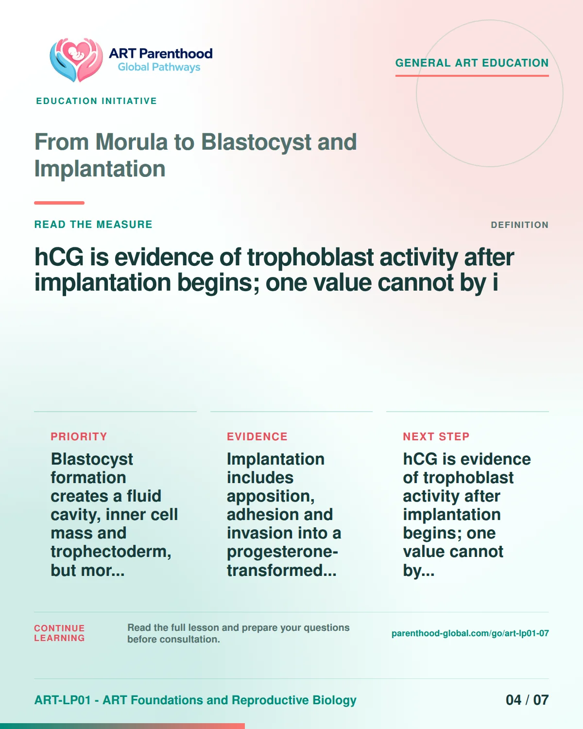 Slide 4 of ART-LP01-07 uses an accessible scientific illustration to explain from morula to blastocyst and implantation without implying a personal diagnosis.